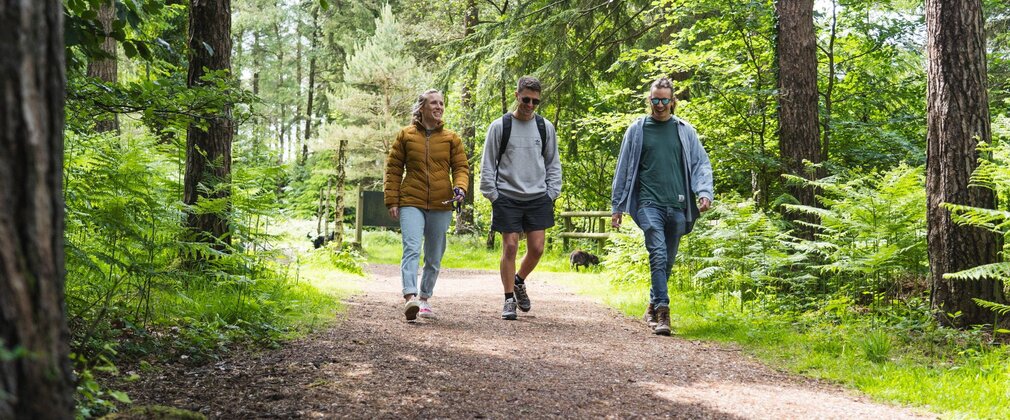 Person walking on a woodland path in the UK